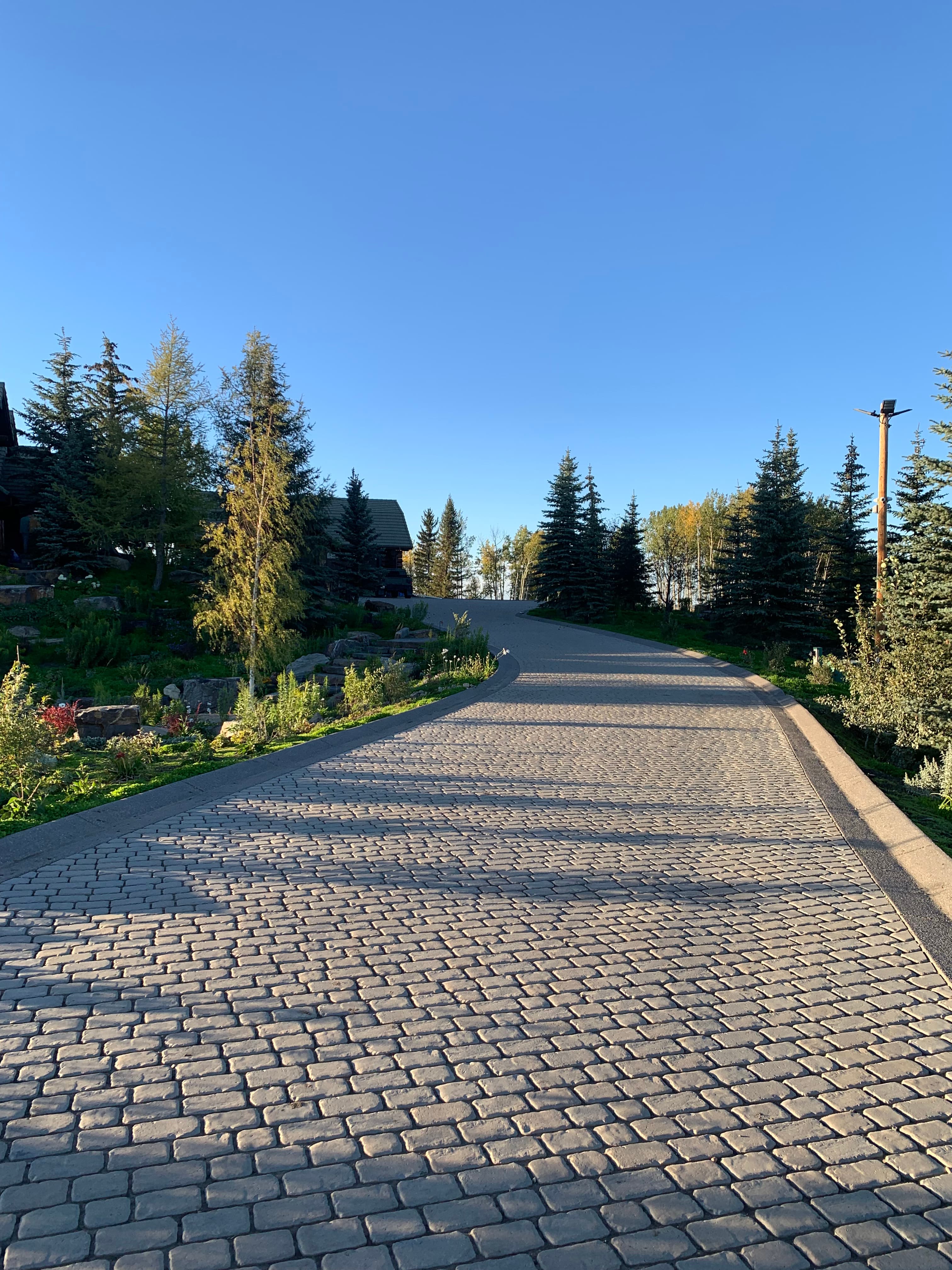 Cobblestone driveway lined with evergreen trees casting long shadows under a clear blue sky.