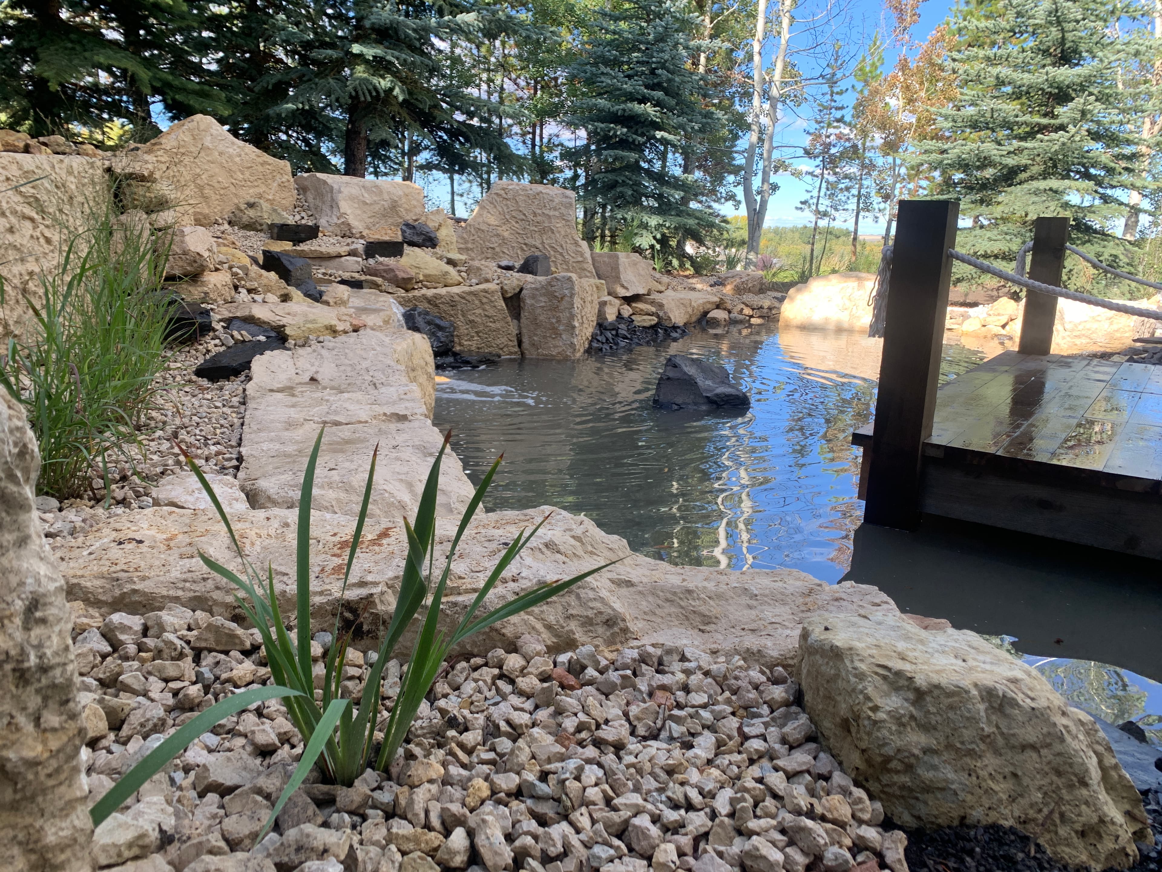 A serene landscaped pond with a stone waterfall, wooden dock, and surrounding evergreen trees.