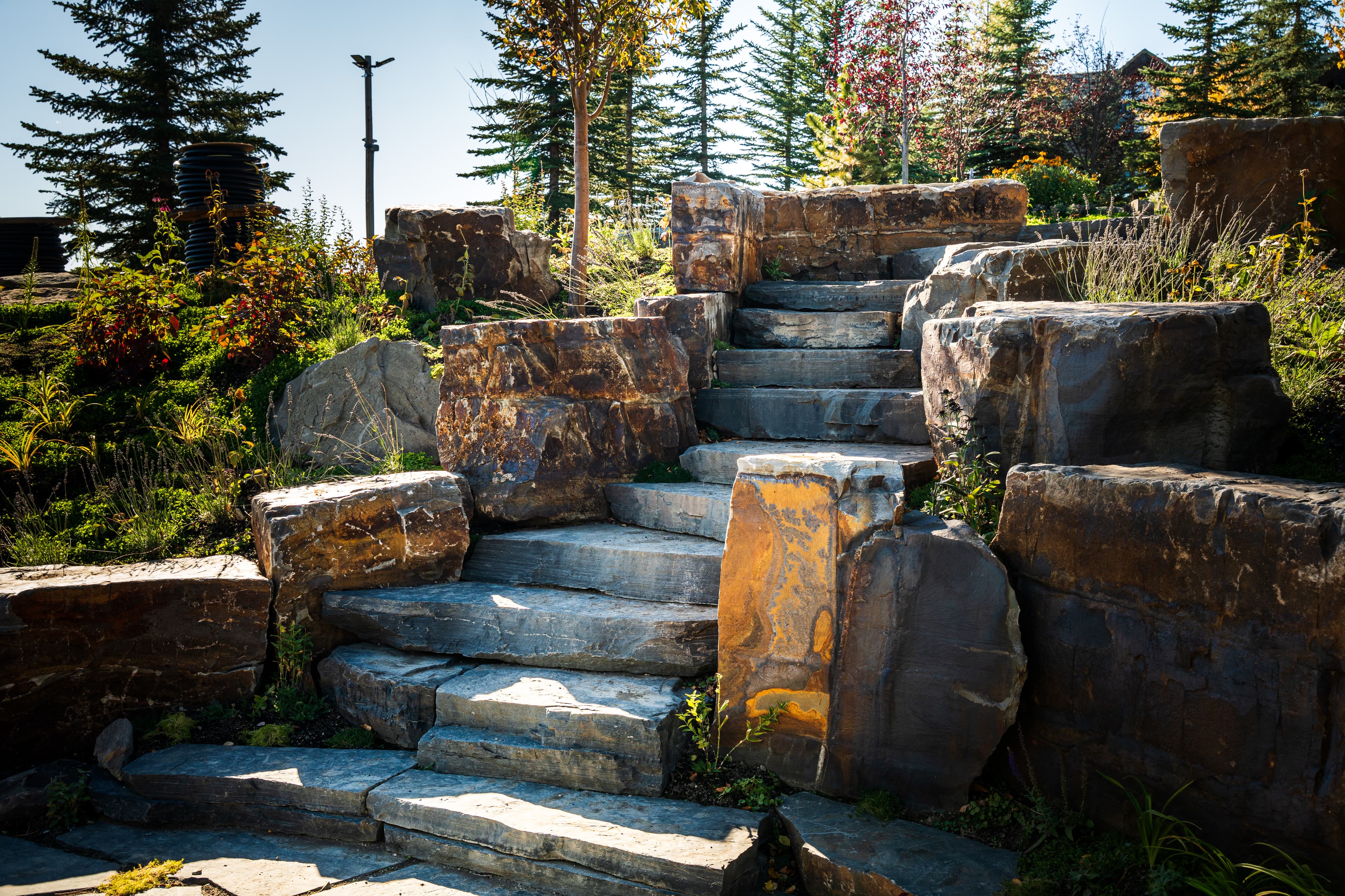 Rough-hewn stone steps ascend through a sunny garden landscape framed by tall evergreen trees.