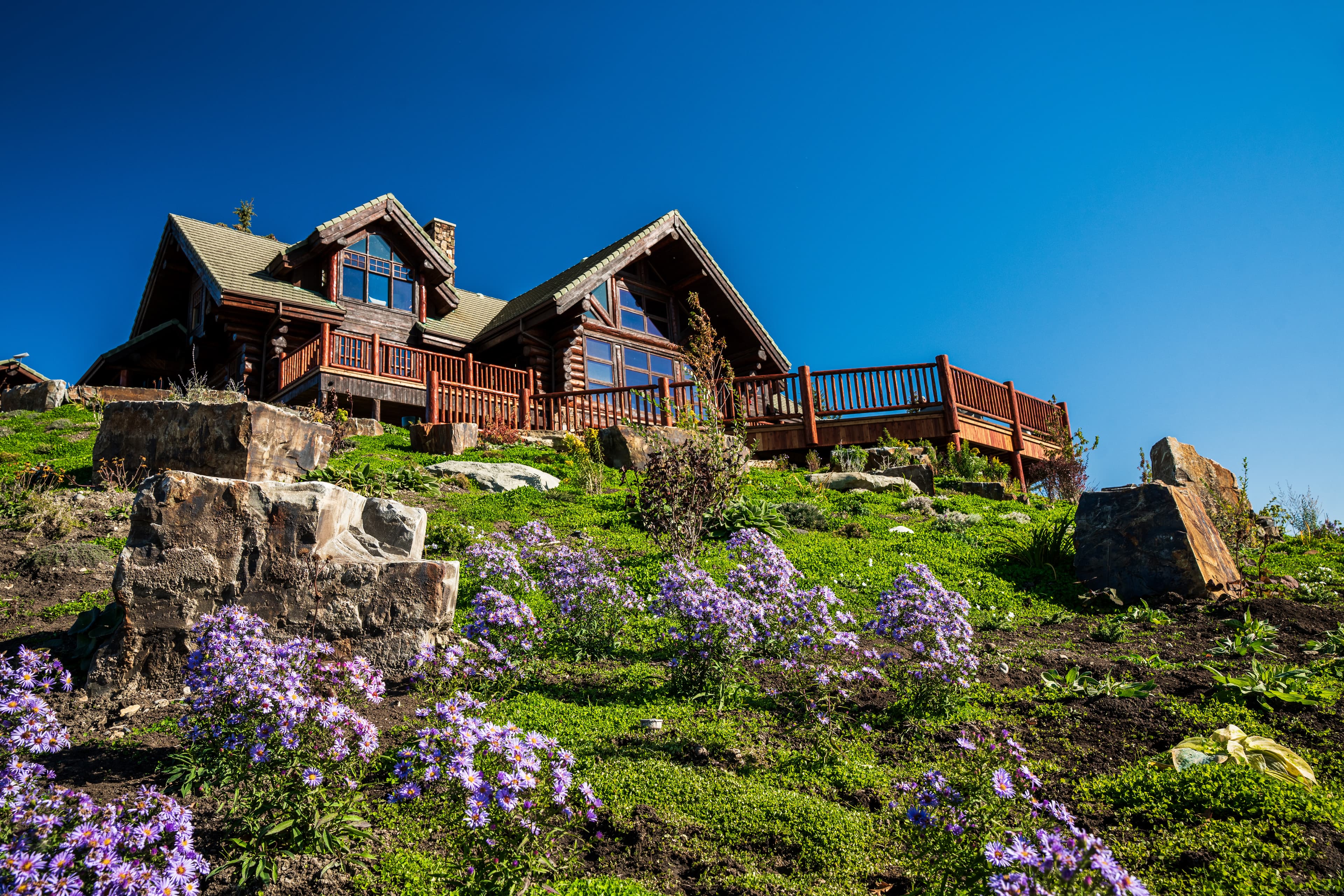 Rustic log cabin on a hillside with purple wildflowers and large rocks under blue sky.